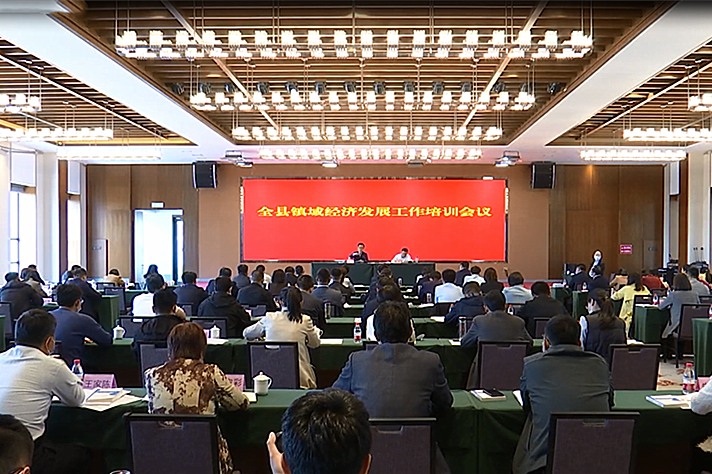 莒南县召开镇域经济发展工作培训会议